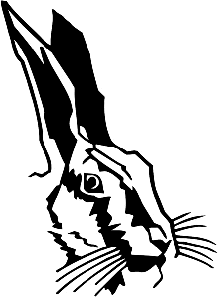 Jack rabbit's head vinyl sticker. Customize on line.  Animals Insects Fish 004-1012  